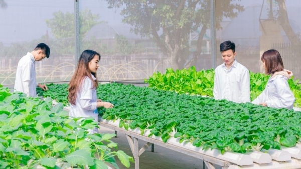 Tối ưu chi phí bằng phương tiện tiết kiệm nhiên liệu