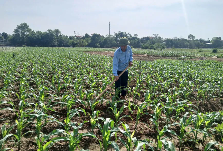 Sự bền bỉ và tận tâm trong các dự án cộng đồng tại địa phương Hà Nam